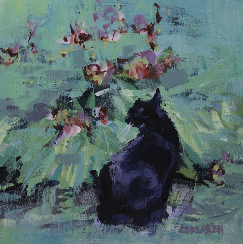 a tuxedo cat stares the day lilies in the garden
